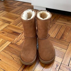 Ugh classic boot chestnut